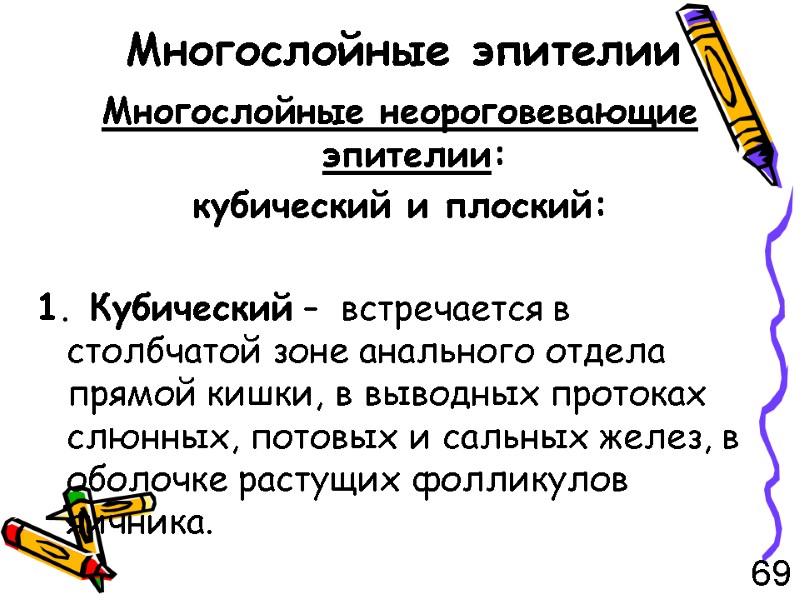 Многослойные эпителии Многослойные неороговевающие эпителии: кубический и плоский:  1. Кубический –  встречается